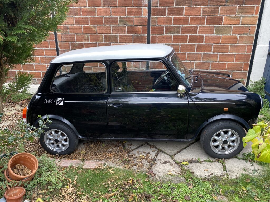 Rover mini special check mate