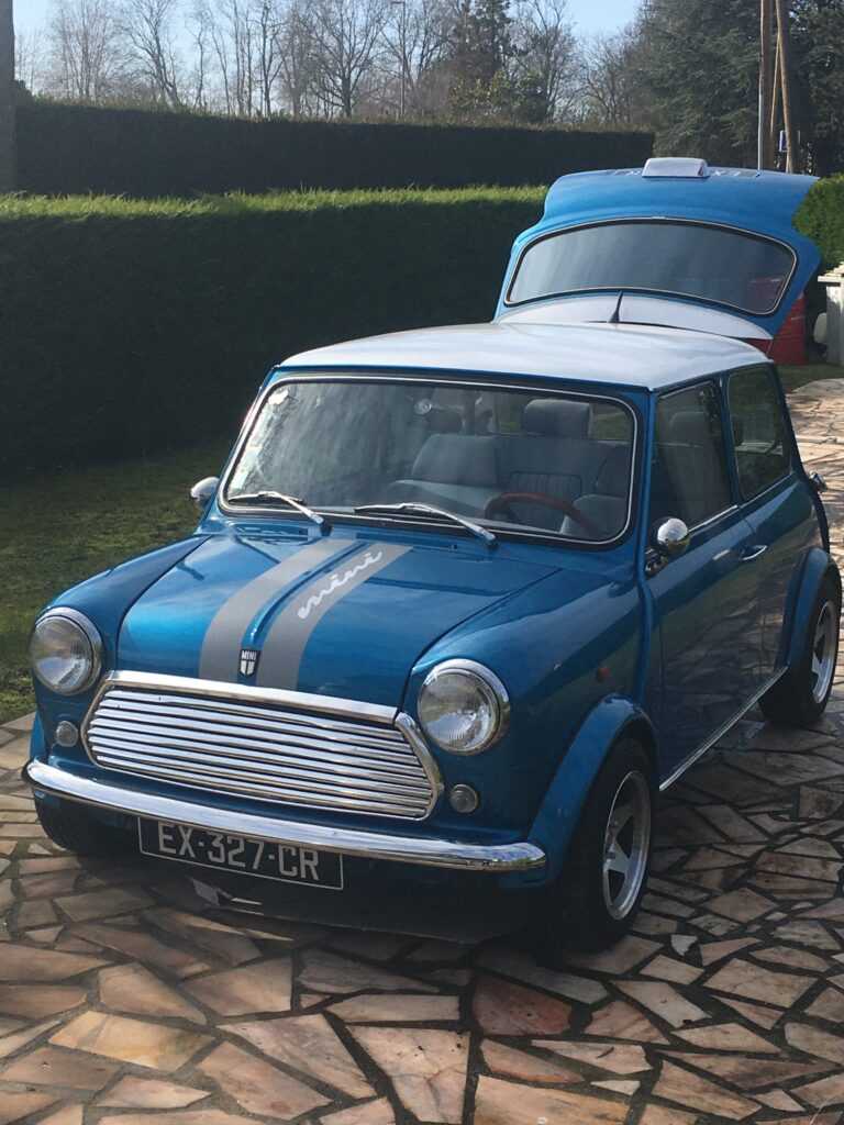 Mini