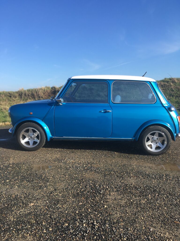 Mini