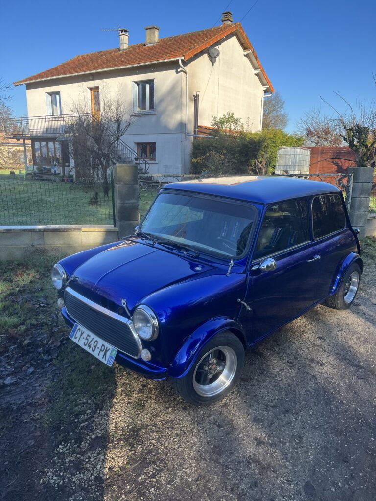 Mini Park Lane