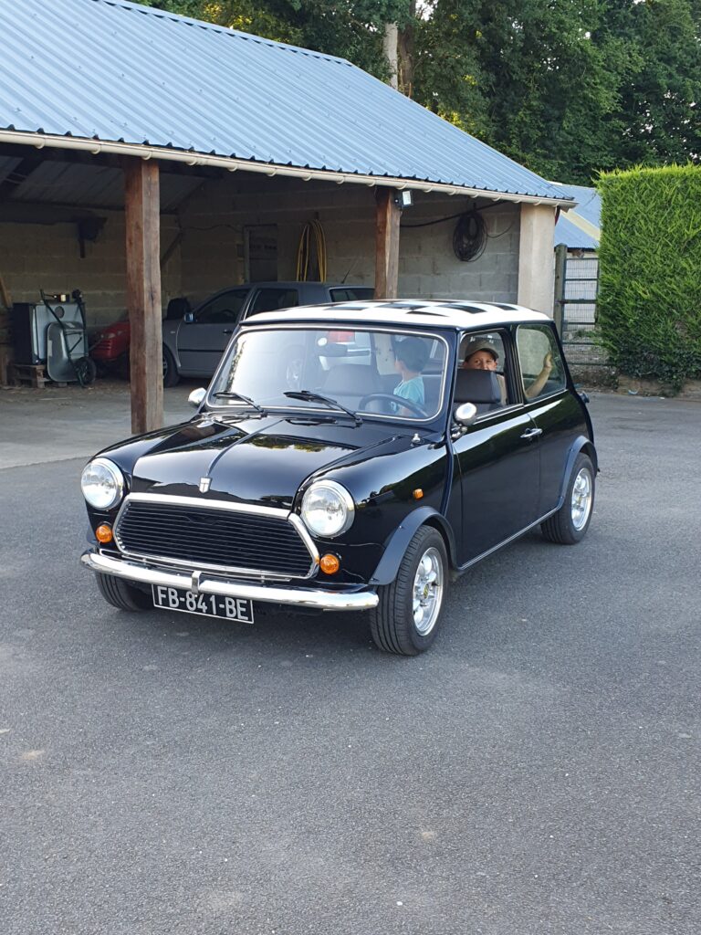 Mini