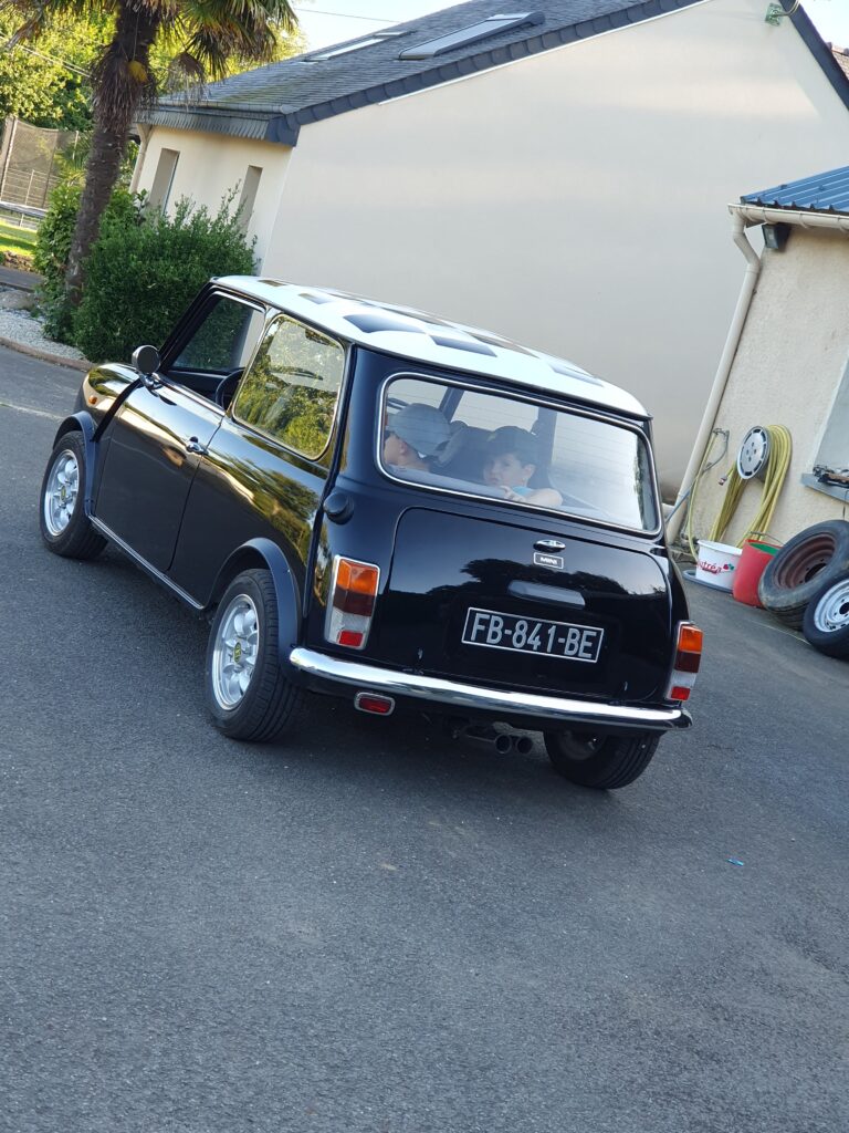 Mini