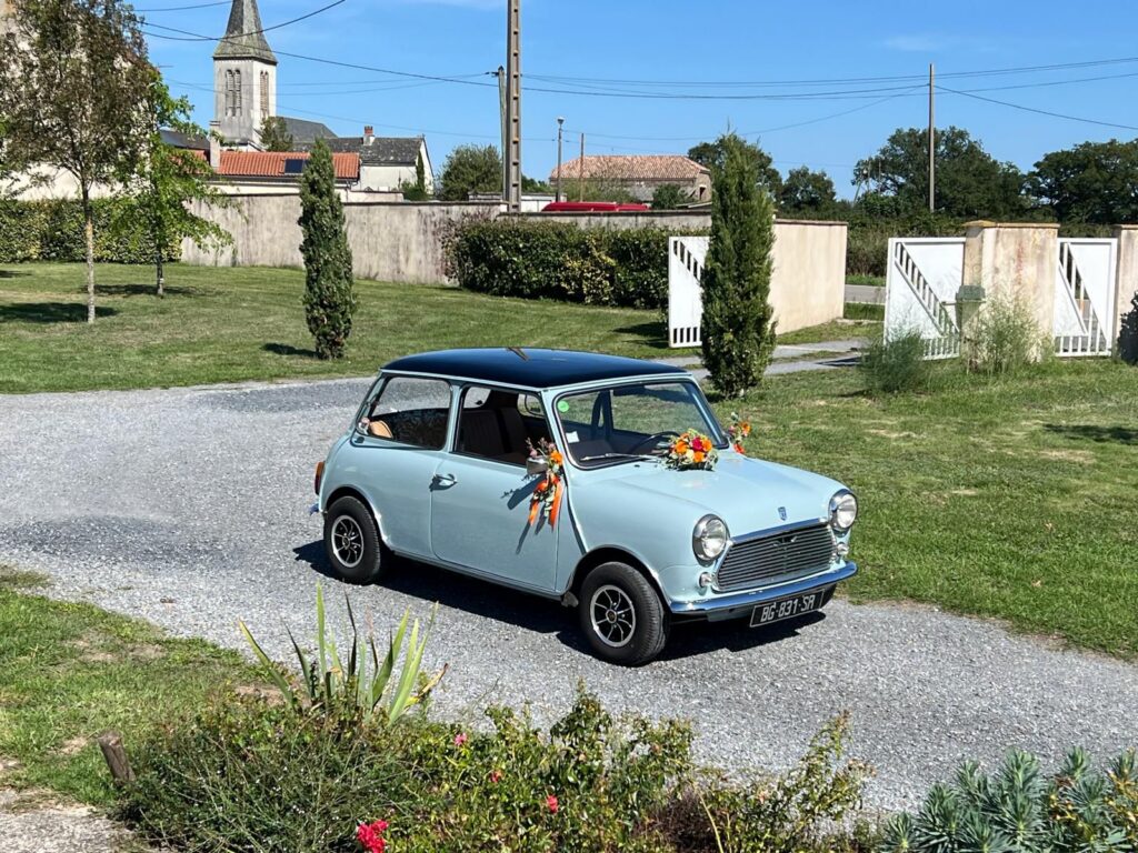 Mini 1000 Mk3