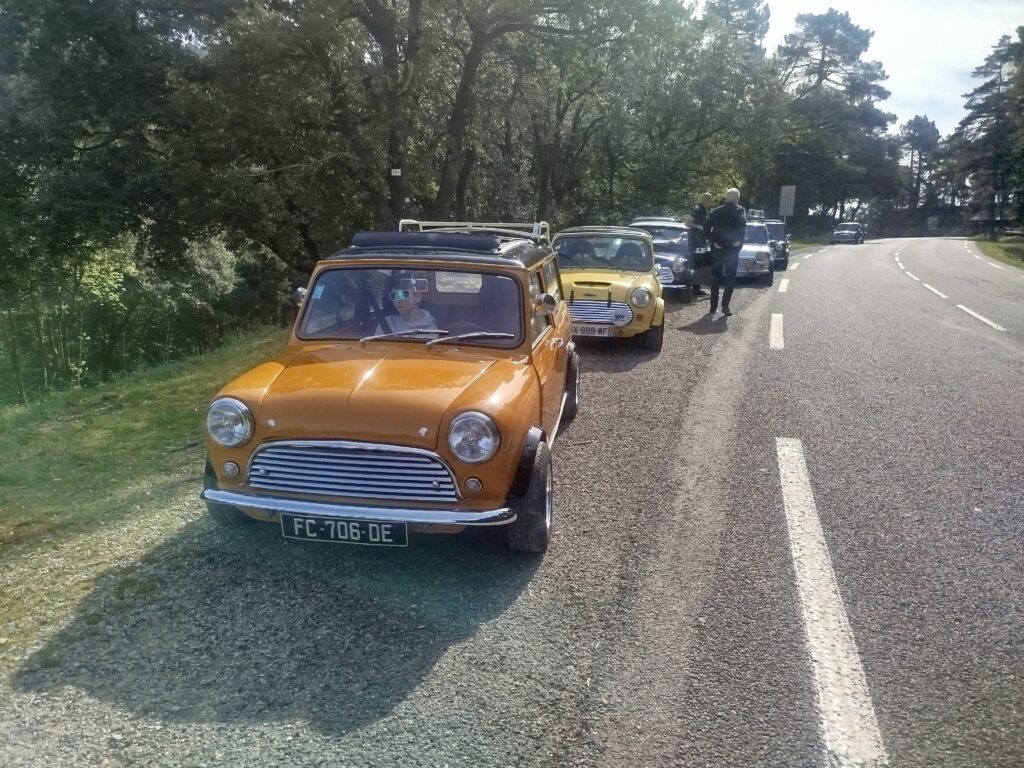 mini estate