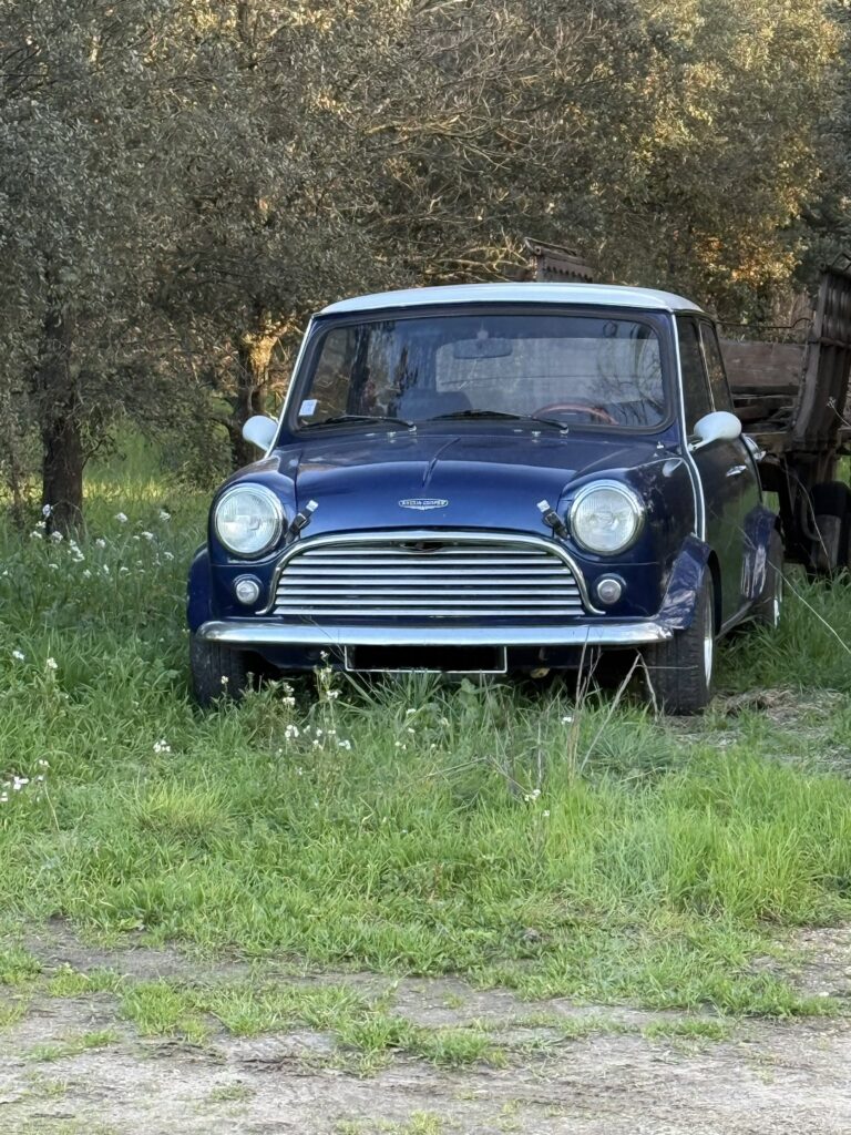 Mini austin