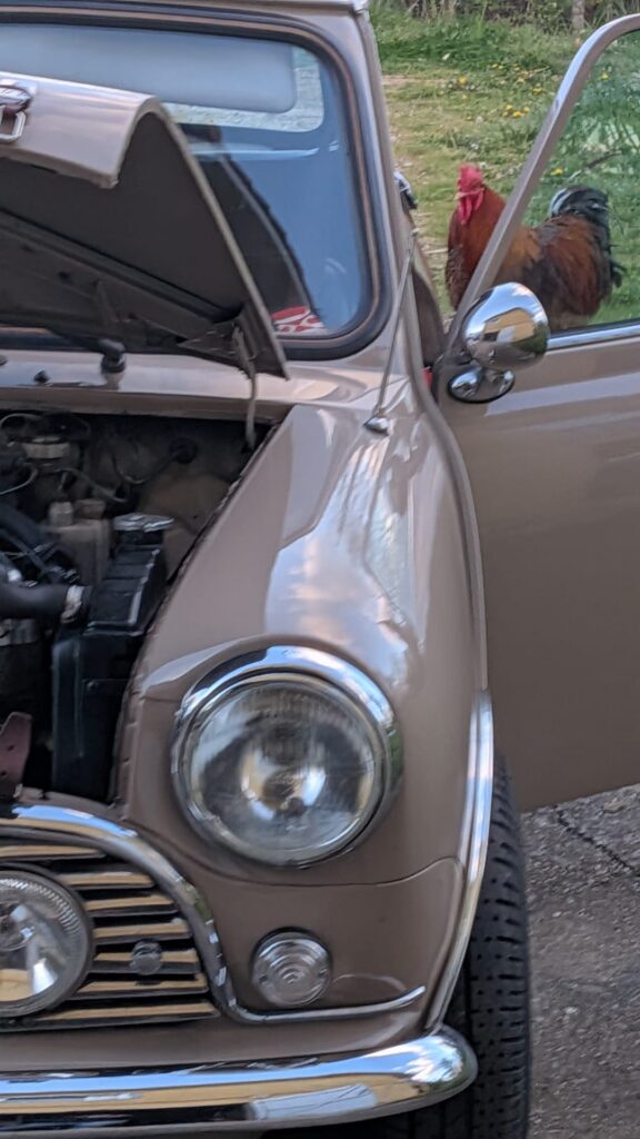 Mini  Mayfair
